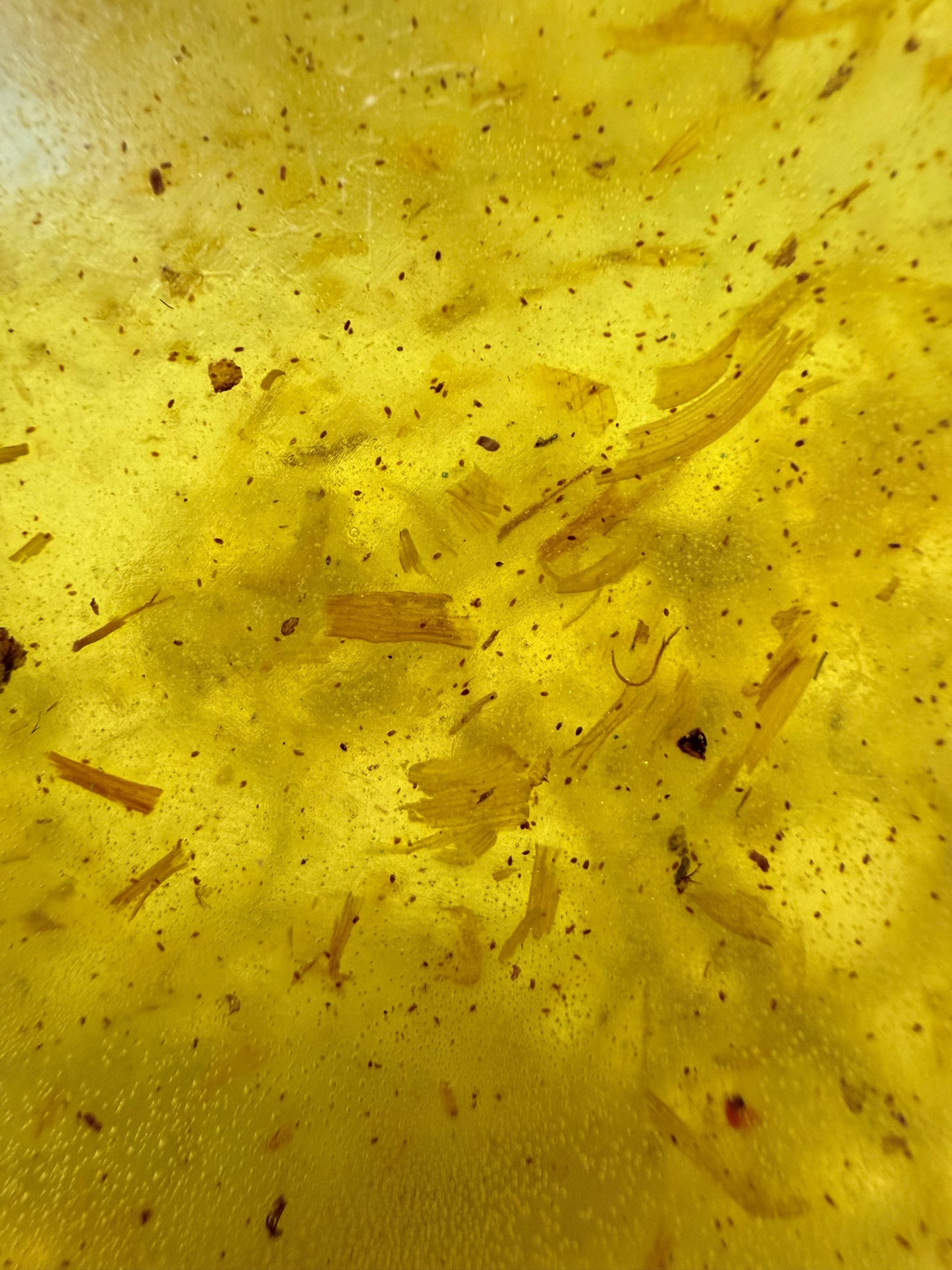 Green Tea & Pear Botanical Soap